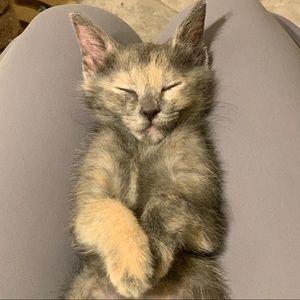 Meet your Posher, Nick